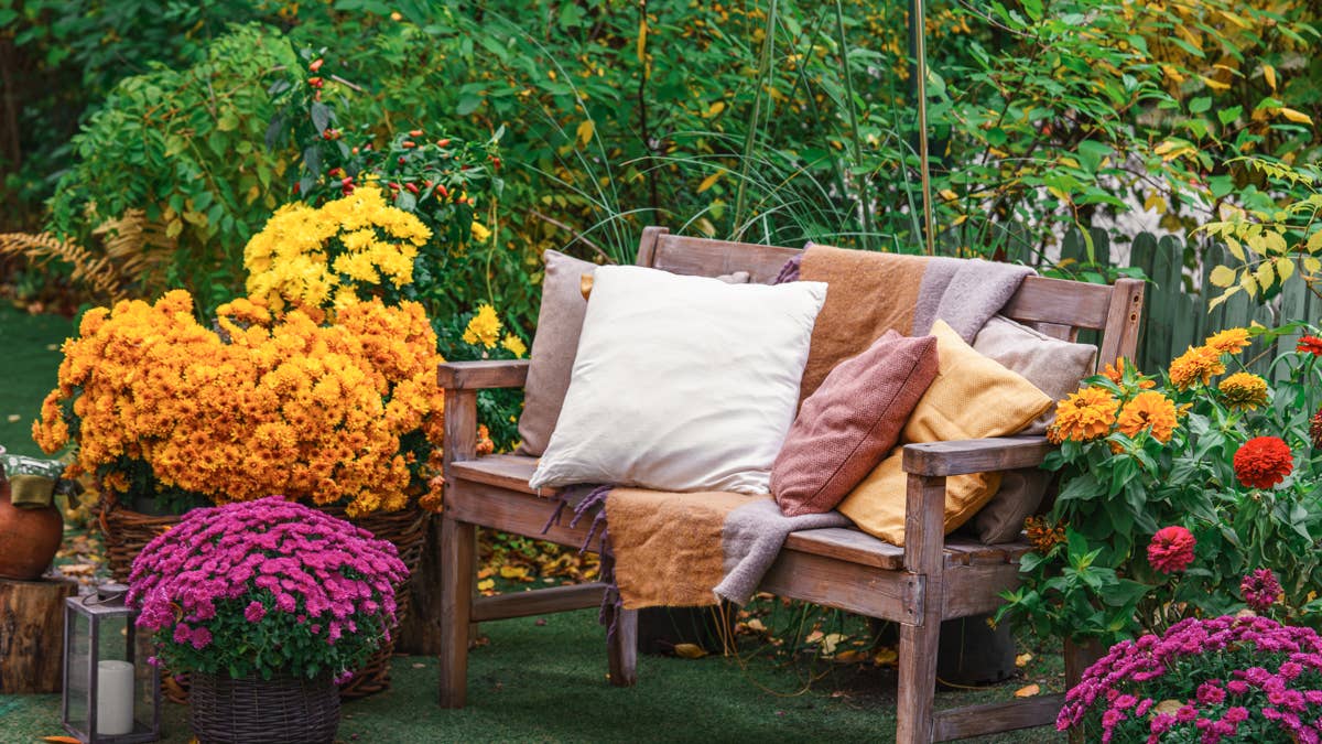 How to Make Your Backyard Cozier Ahead of Cooler Nights