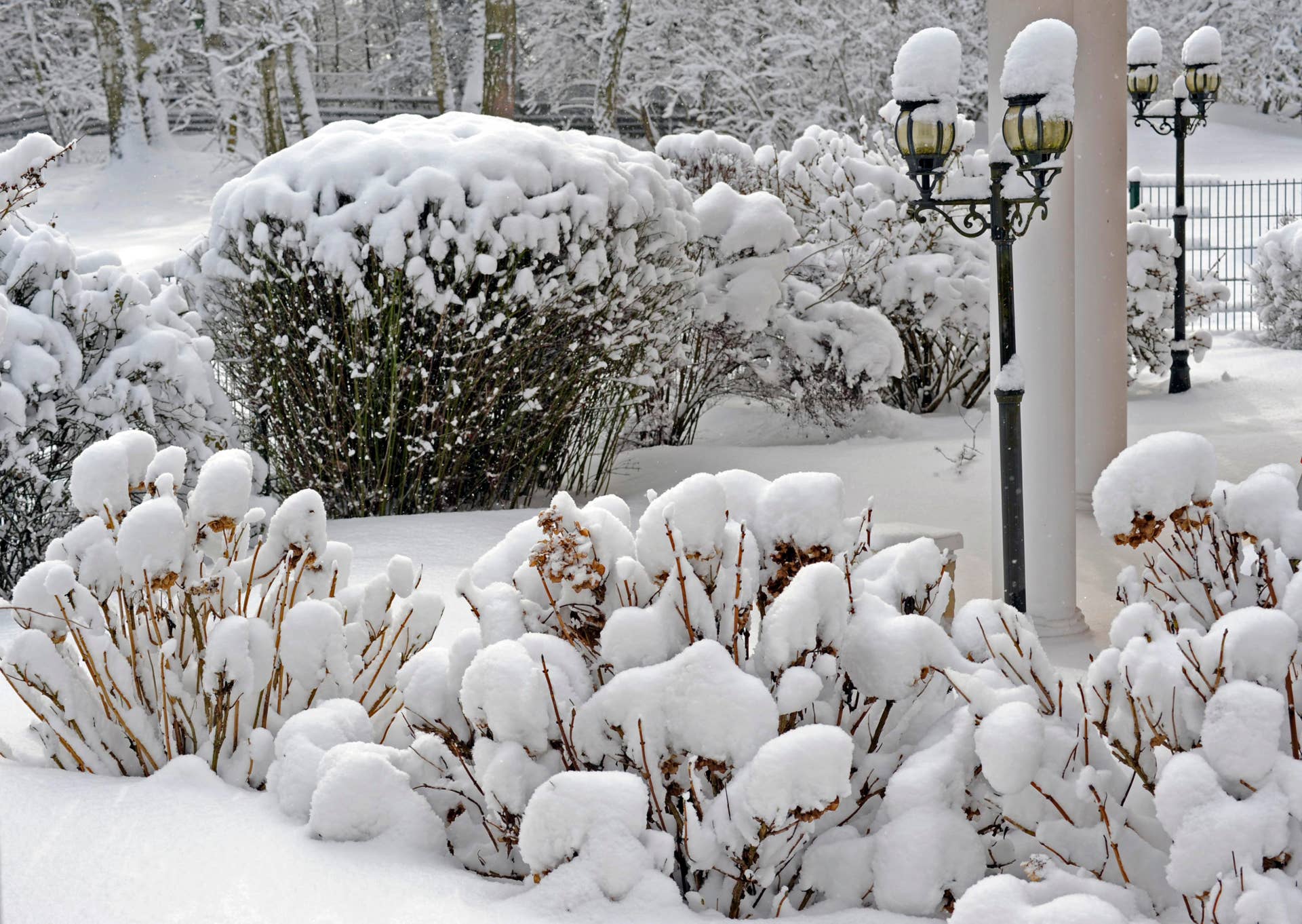 Fall Beck Don’t Cut Back These Perennials in Fall, Garden Experts Warn - Dengarden