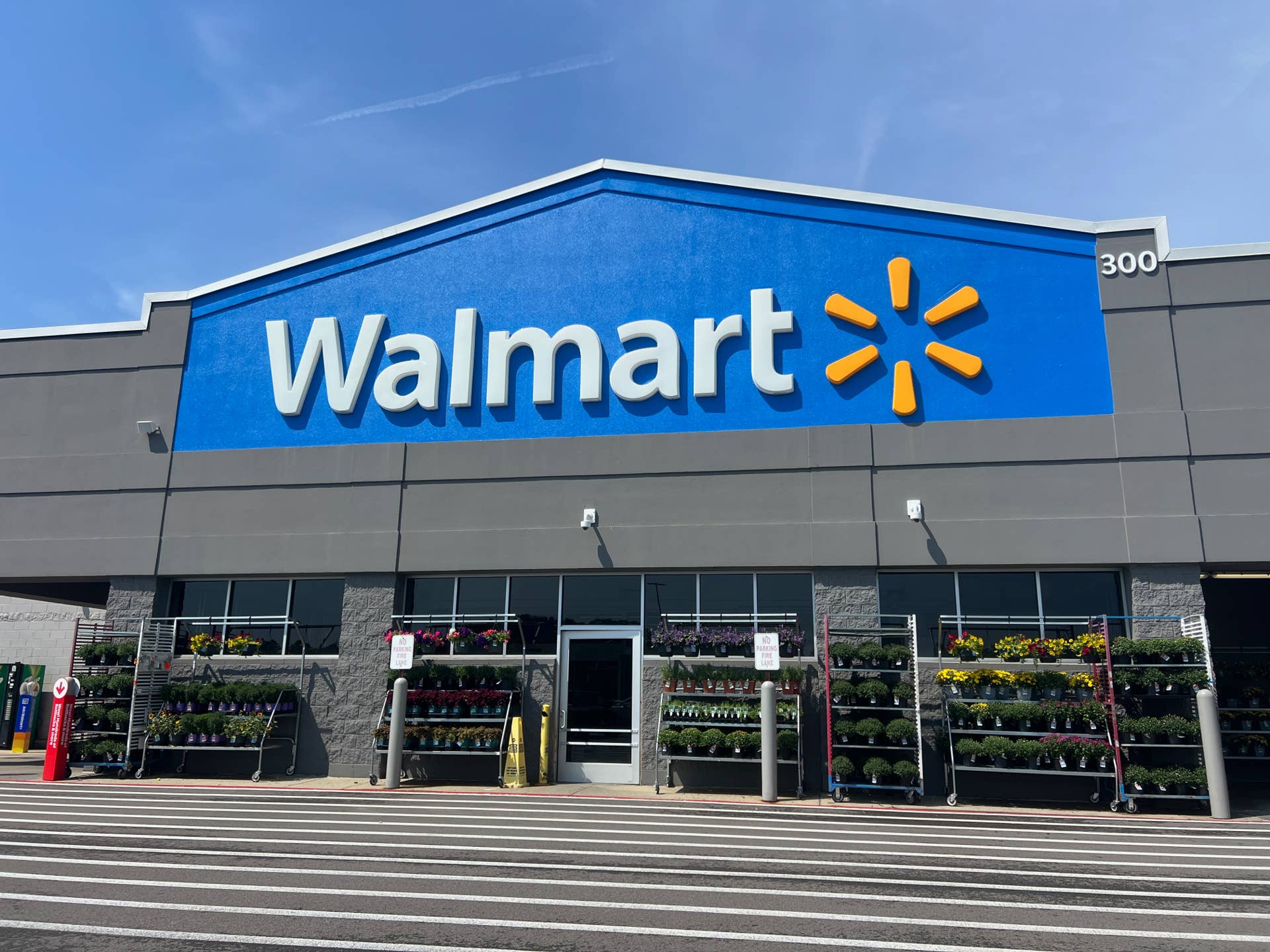Walmart's 6-Pack of Colorful Live Mums Is Under $30 - Dengarden