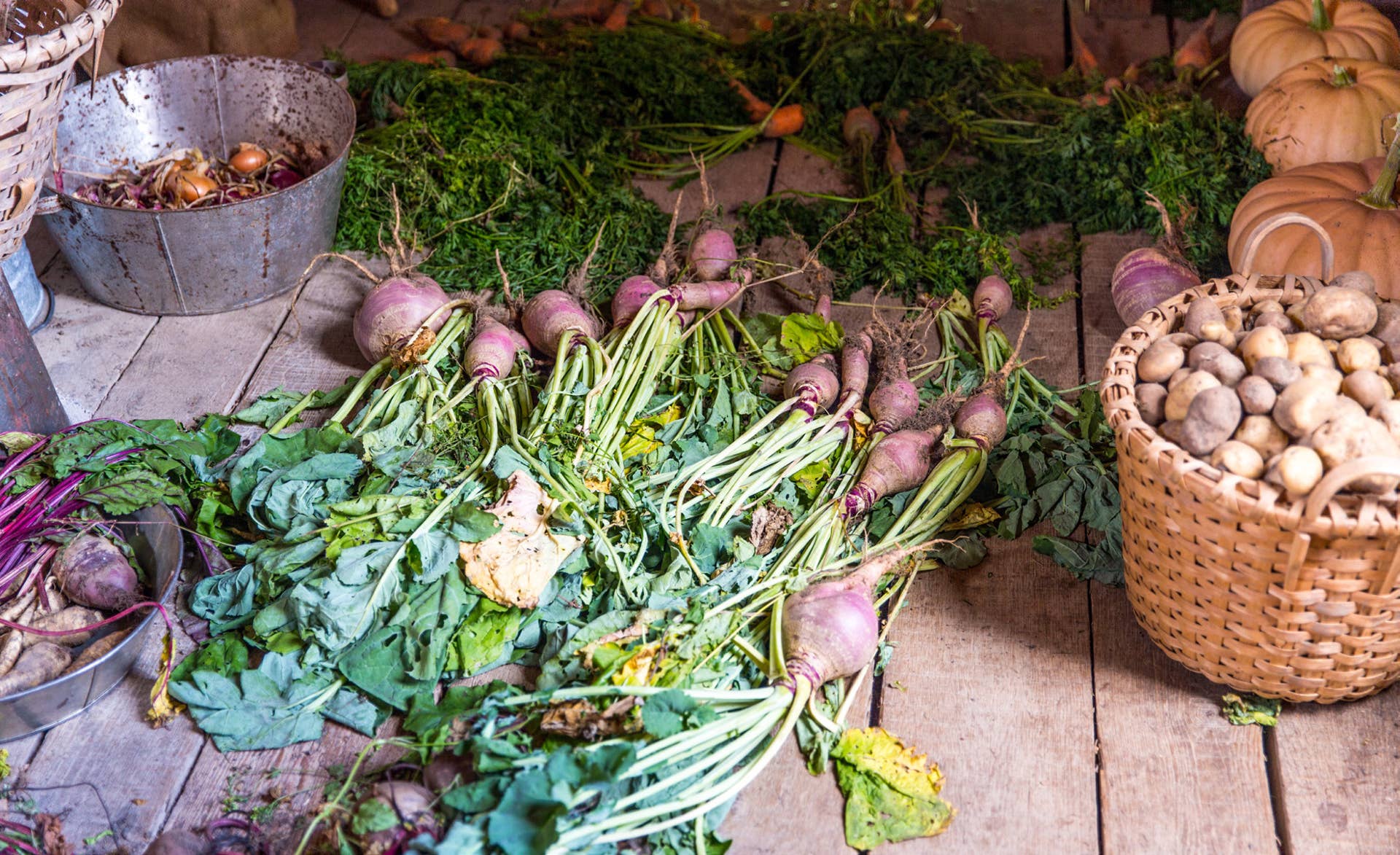 Vegetables That Last for Months—and How to Store Them - Dengarden