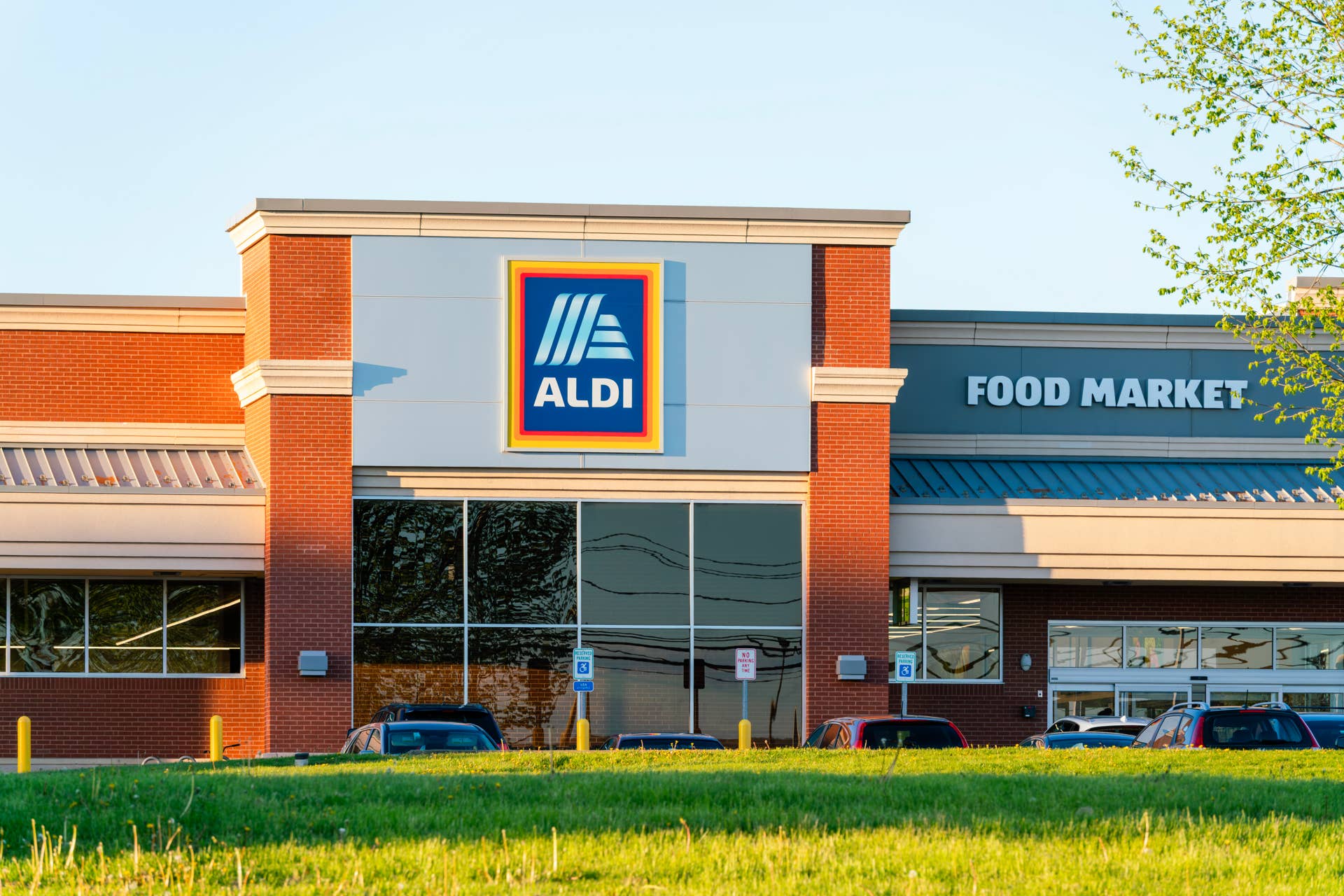 Aldi's $5 Kitchen Towels Are a Bow-tiful Holiday Find - Dengarden