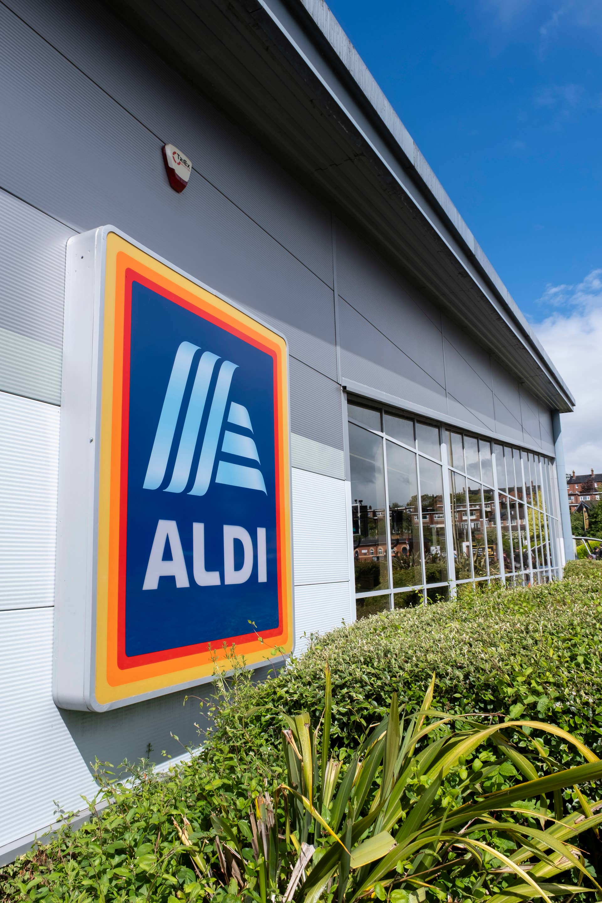 Aldi’s $5 Skull Flower Pots Add Spooky-Chic Style to Any Room - Dengarden