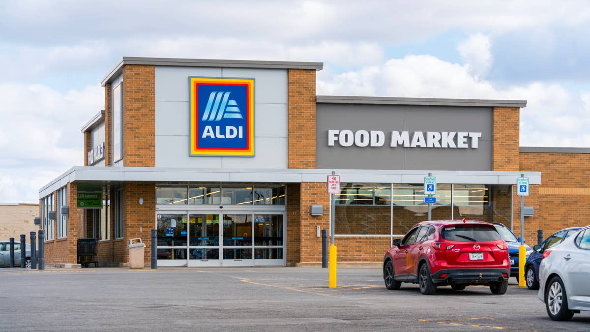 Aldi’s $19.99 Mini Christmas Trees Bring Vintage Holiday Charm - Dengarden