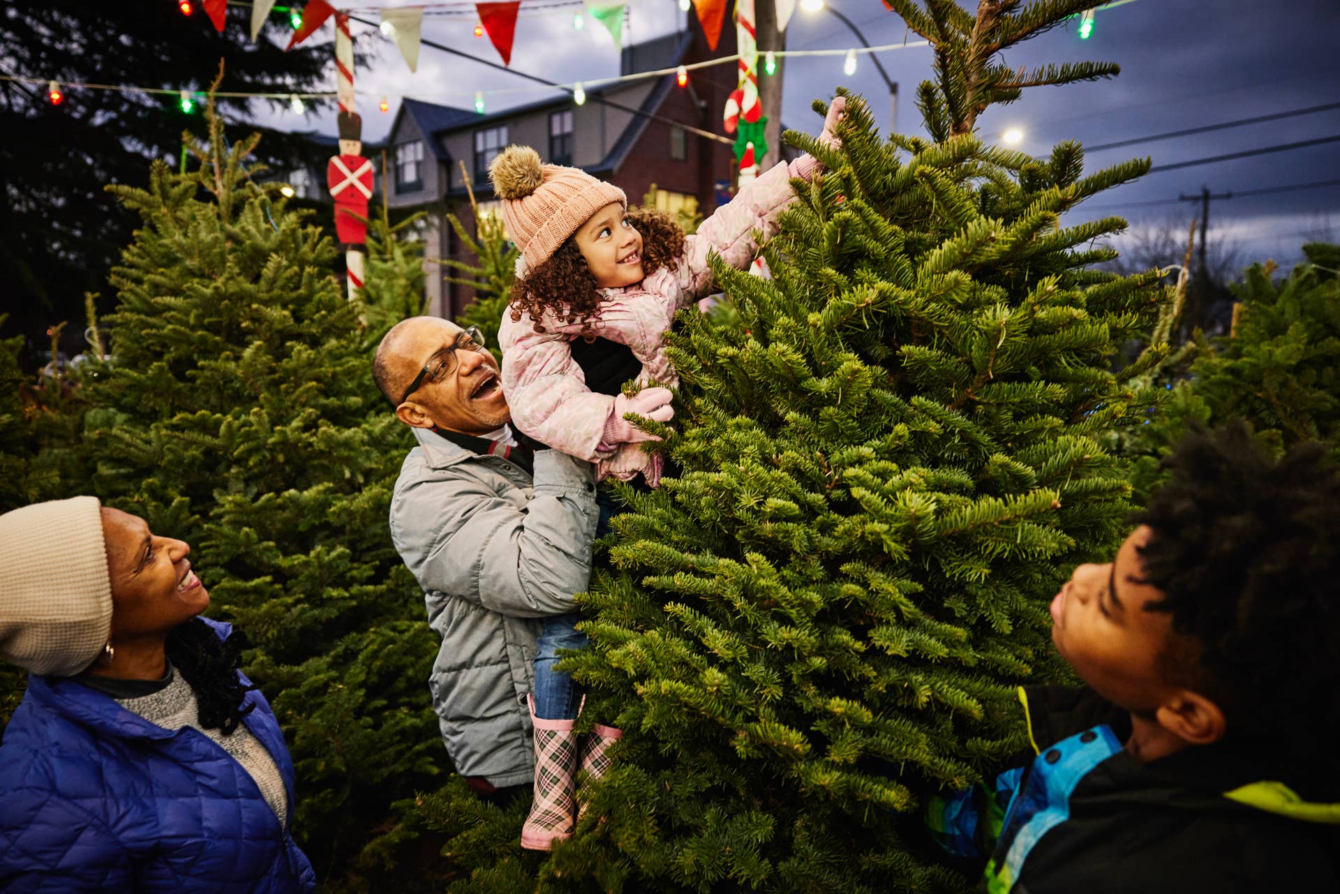 Christmas Trees 2026: Will There Be Enough to Go Around? - Dengarden