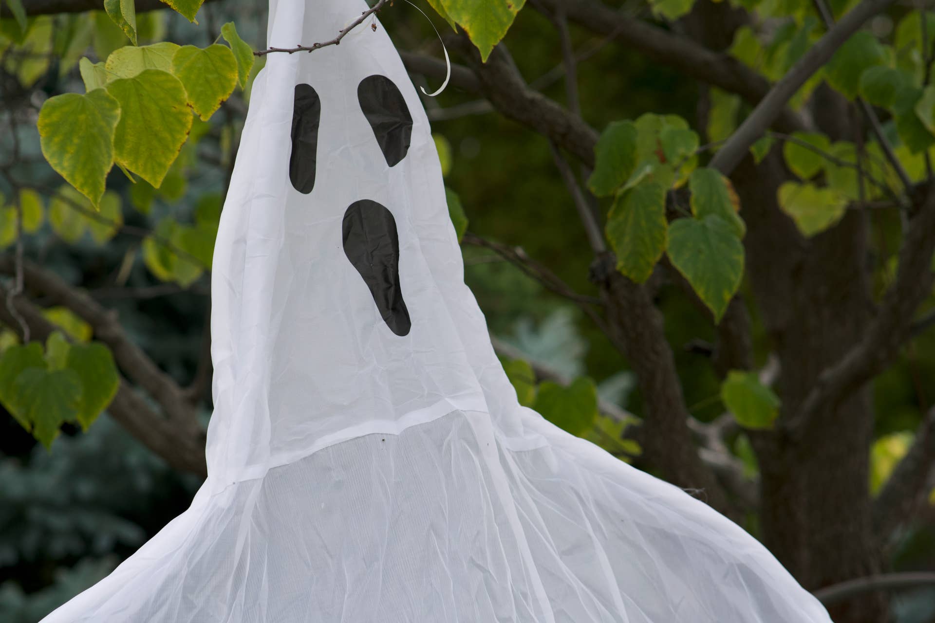 Dollar Tree Ghost Candy Bowl DIY Goes Viral - Dengarden