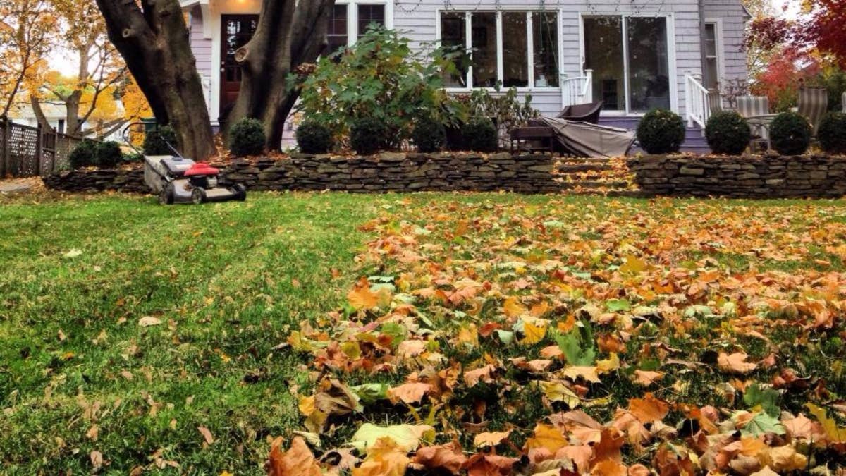 How to Get Lawn Height Just Right in September