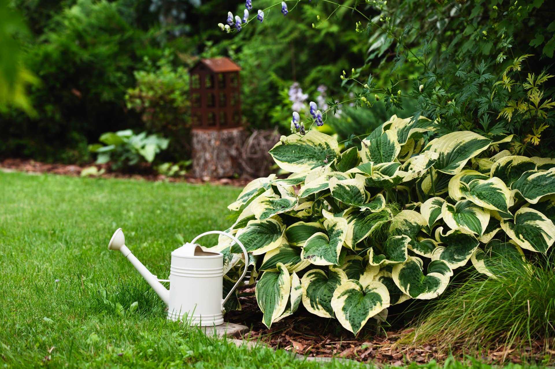 3 Plants You Should Prune This Fall According to a Gardening Pro ...
