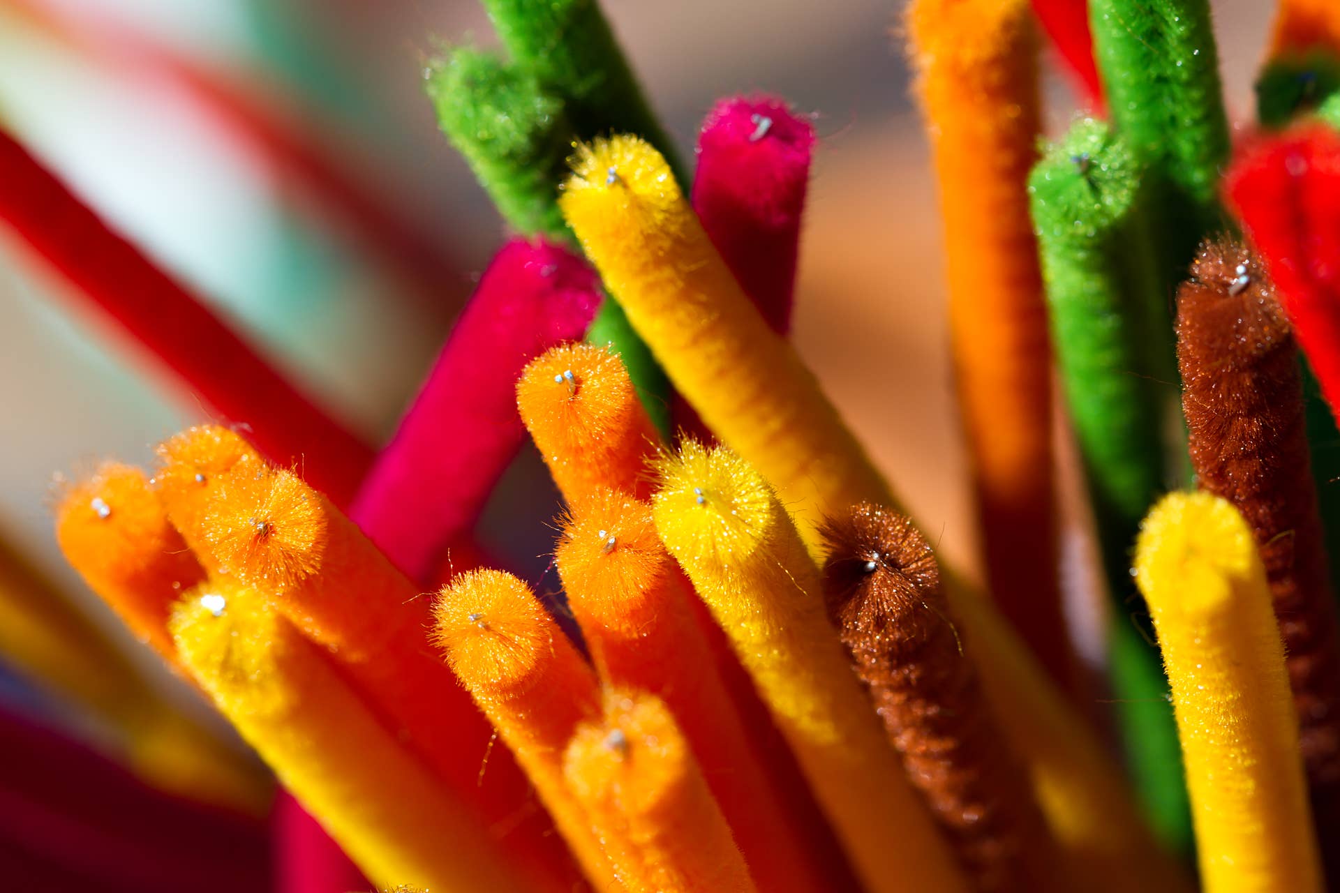 Piple Cleanrs Pipe Cleaners Become the Cutest Little Pumpkins With This Craft - Dengarden