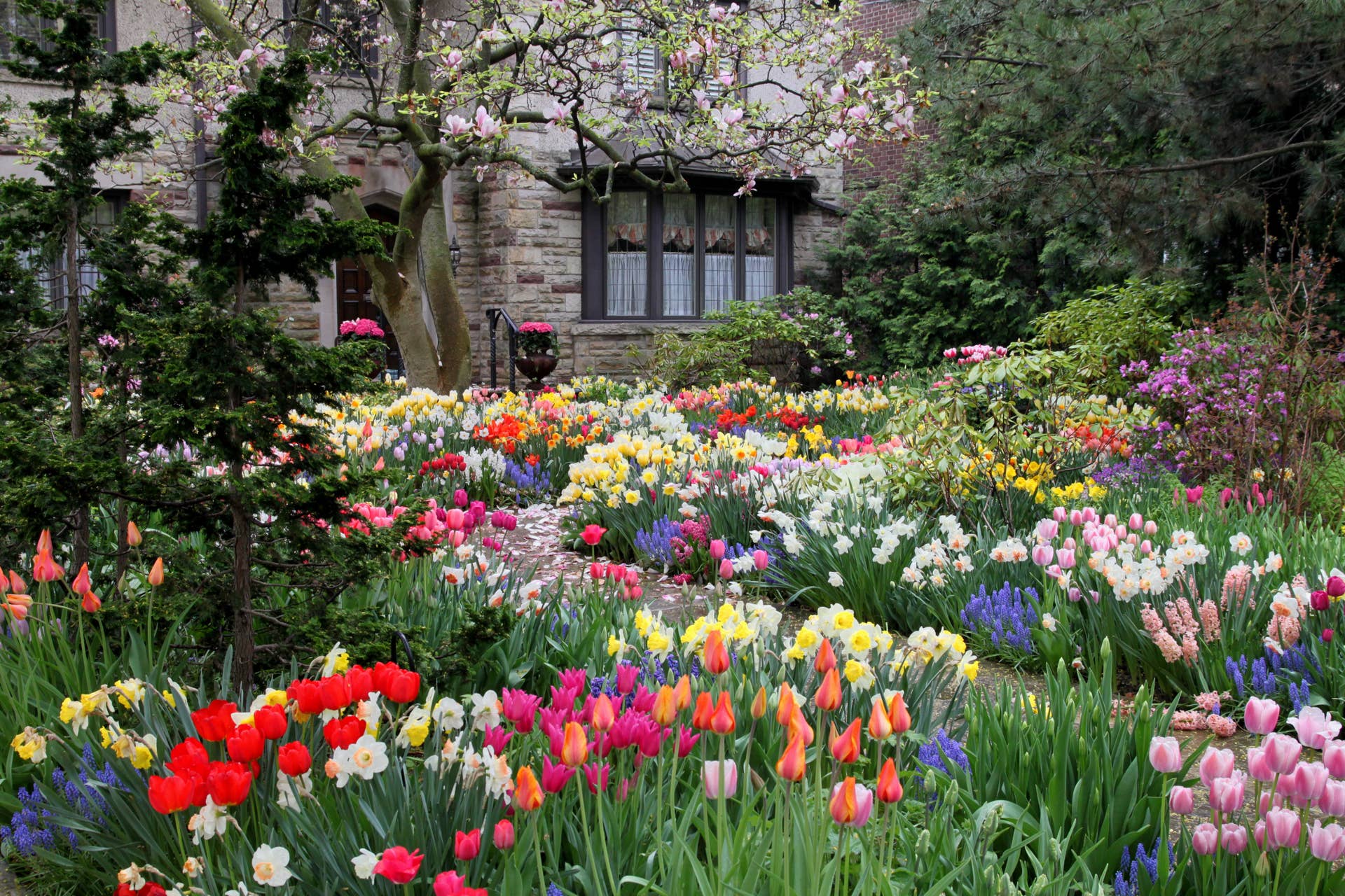 How to Drift Plant Your Spring Bulbs for a Natural Look - Dengarden