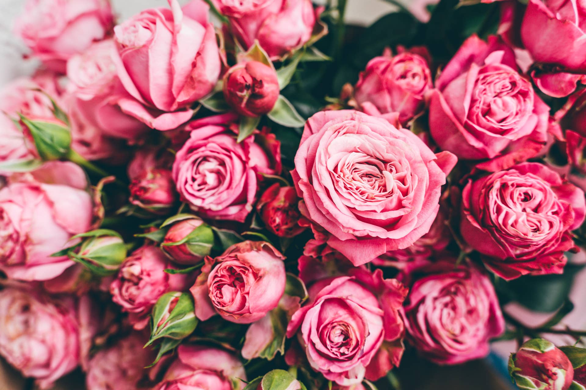 A Simple Florist Trick Makes Roses Look Twice as Full - Dengarden