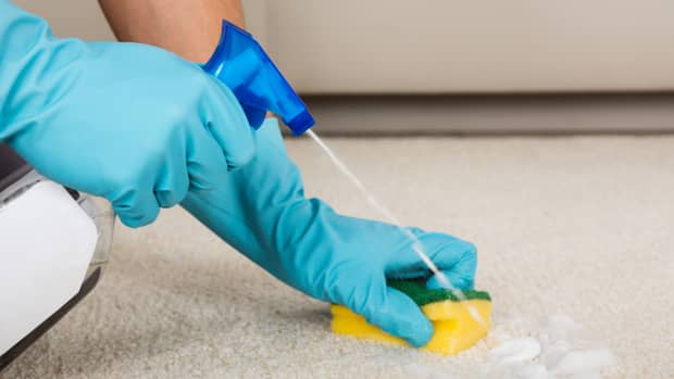 woman hand cleaning carpet