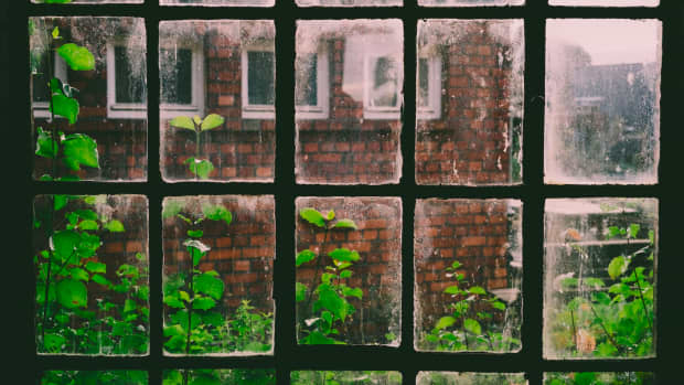 This Woman Has The Perfect Solution to Get Window Privacy Without  Installing Blinds - Dengarden News