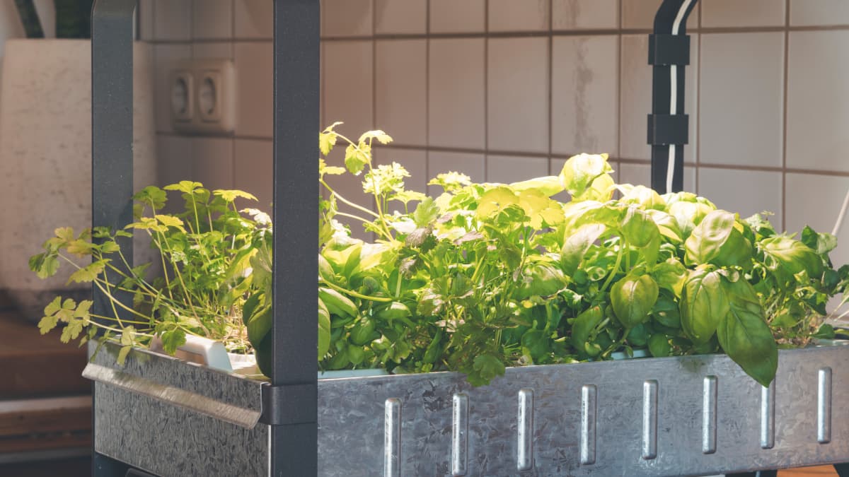 How to Make a Compost Bin From a Plastic Storage Container - Dengarden