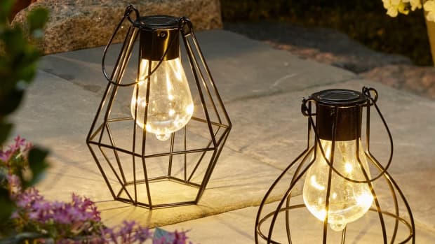 Solar powered shop tree lanterns
