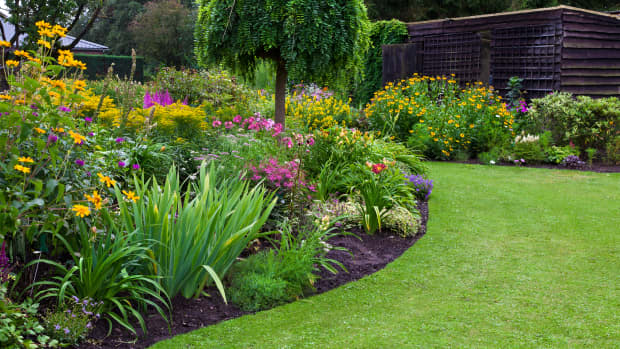 Perfect landscaping store