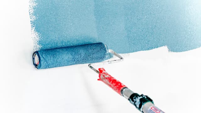 Loaded store paint roller