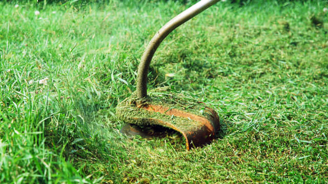 Cutting lawn outlet with weed wacker