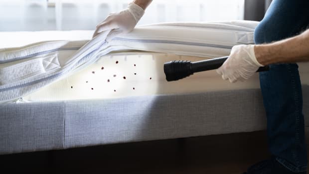Girl Has Genius Hack for Discovering Mattress Bugs