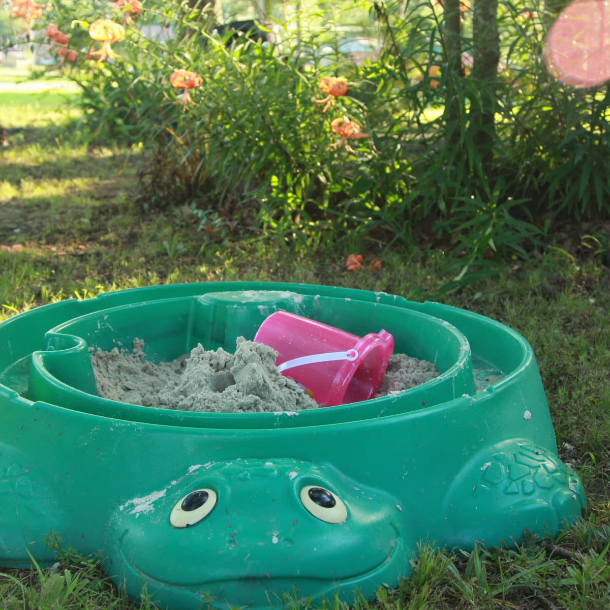 turtle shaped sandbox