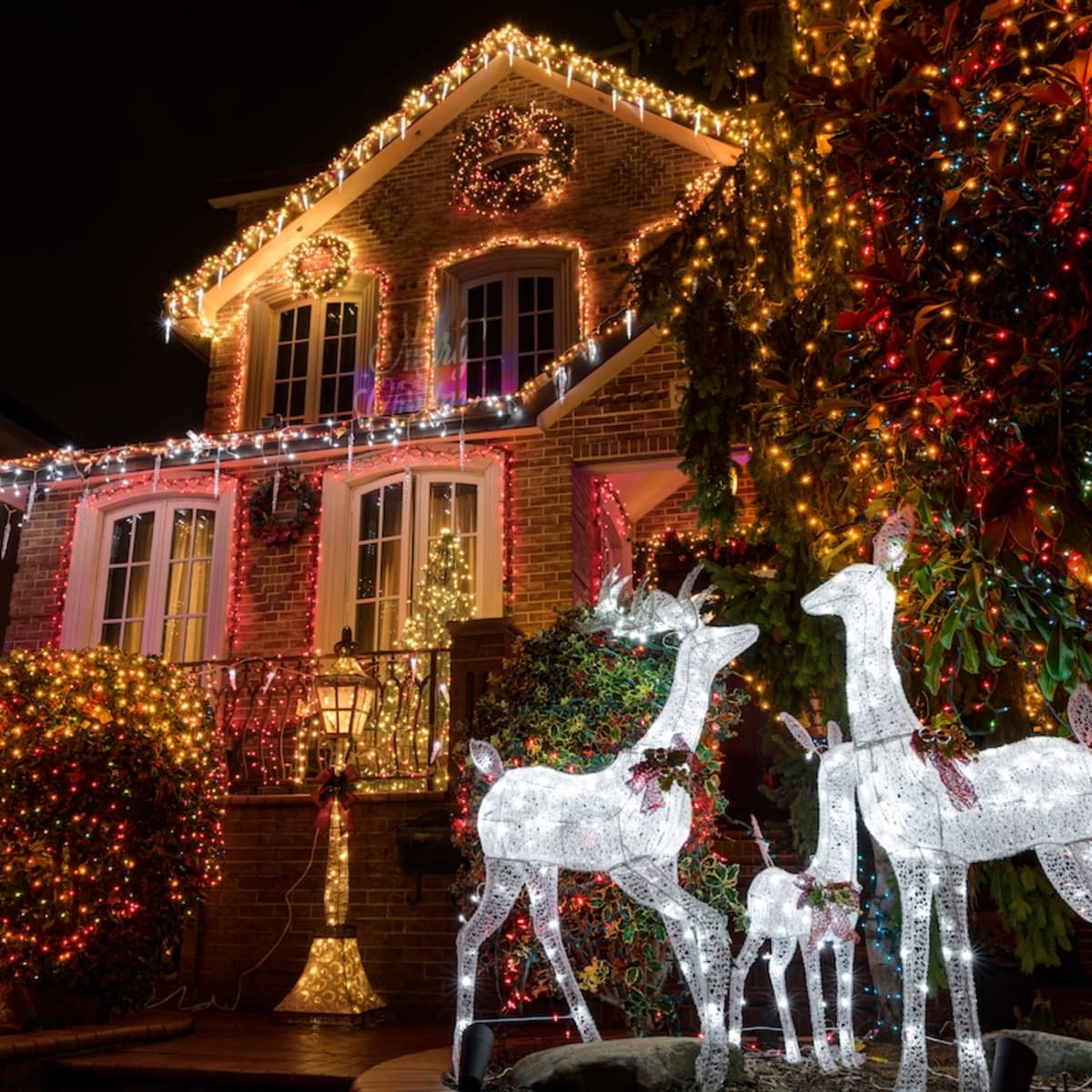 sam's club outdoor christmas decorations