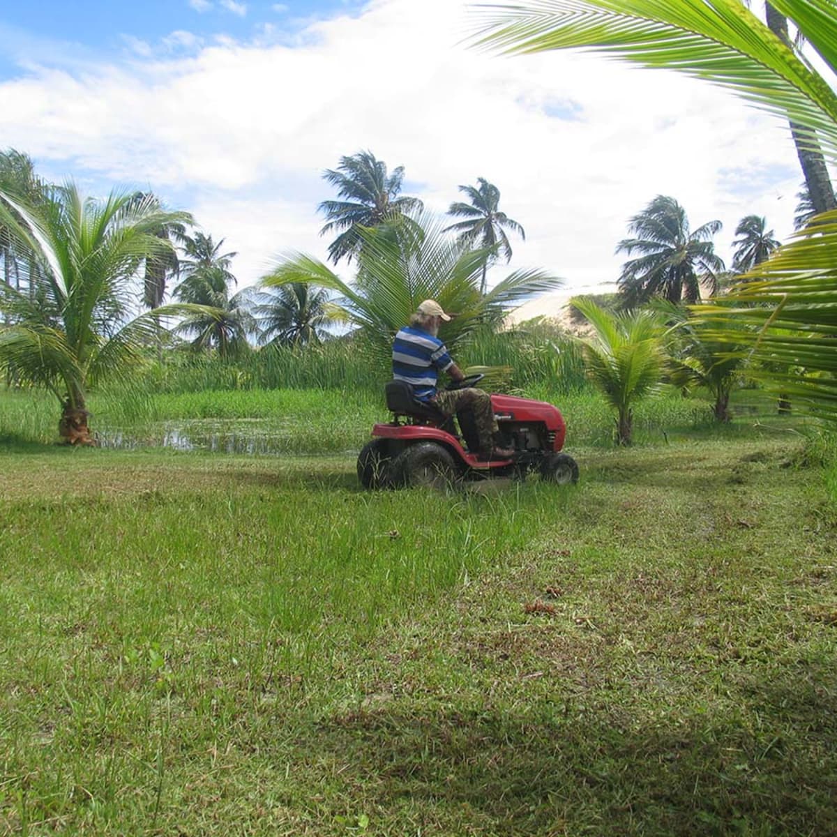 Mtd lawn mower reviews deals