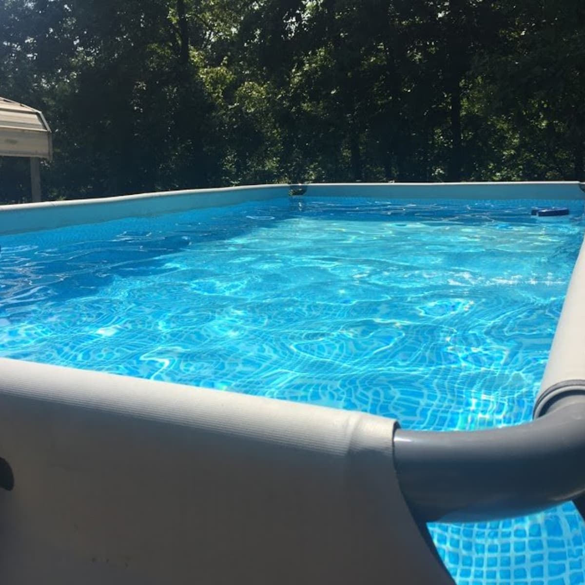 Swimmo review best sale