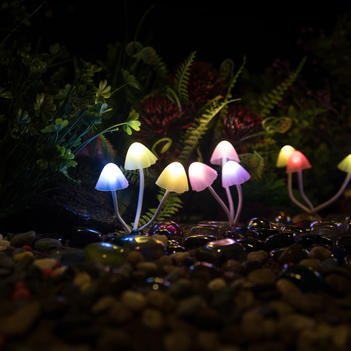 Garden mushroom shop lights
