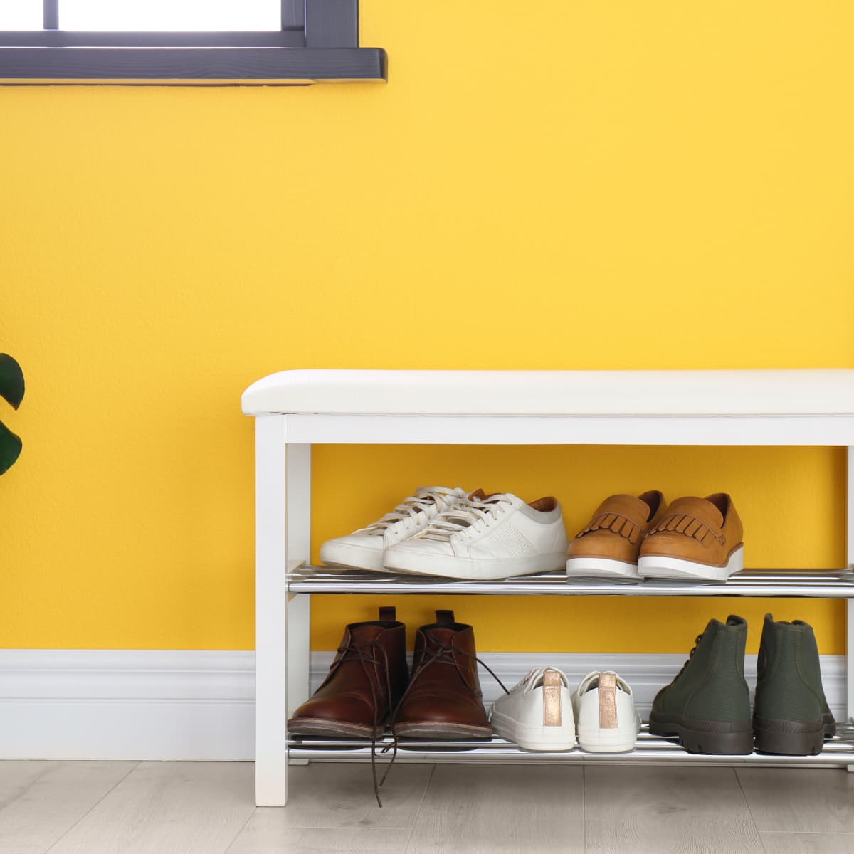 Dollar general new arrivals shoe organizer