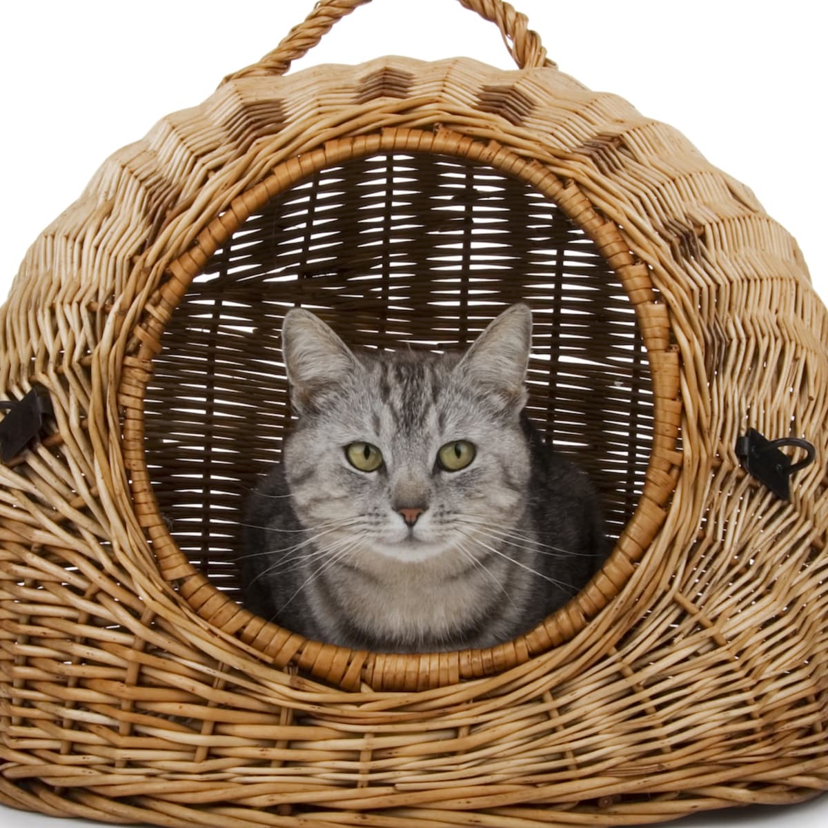 Wicker basket litter box outlet