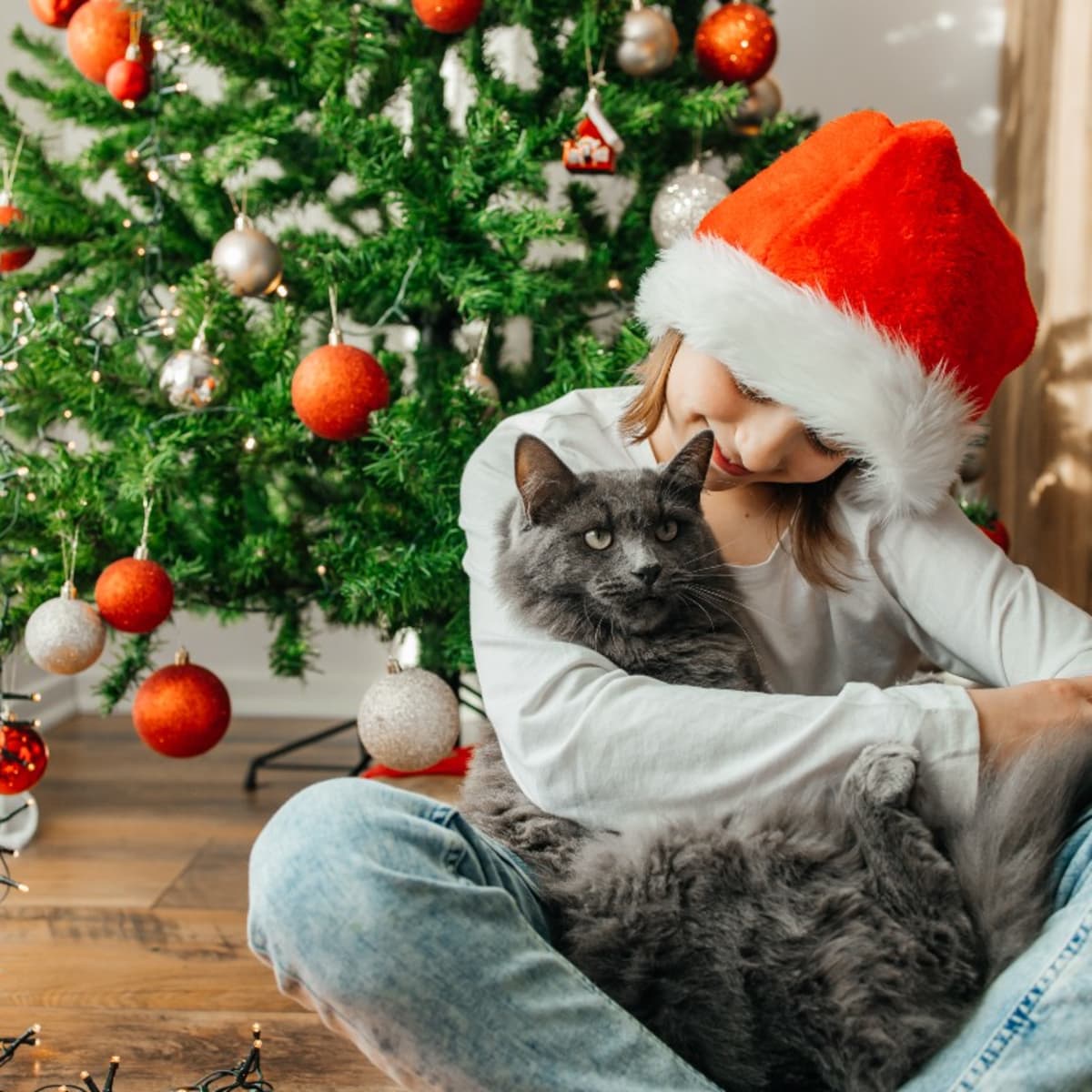 Xmas tree for cat owners 2025