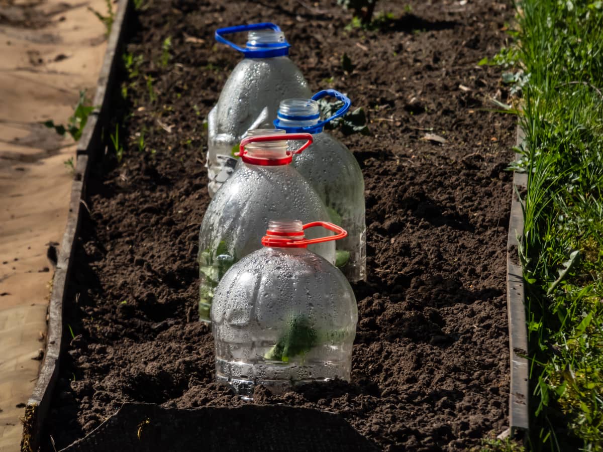 How to Build a Greenhouse Using Plastic Bottles - Dengarden