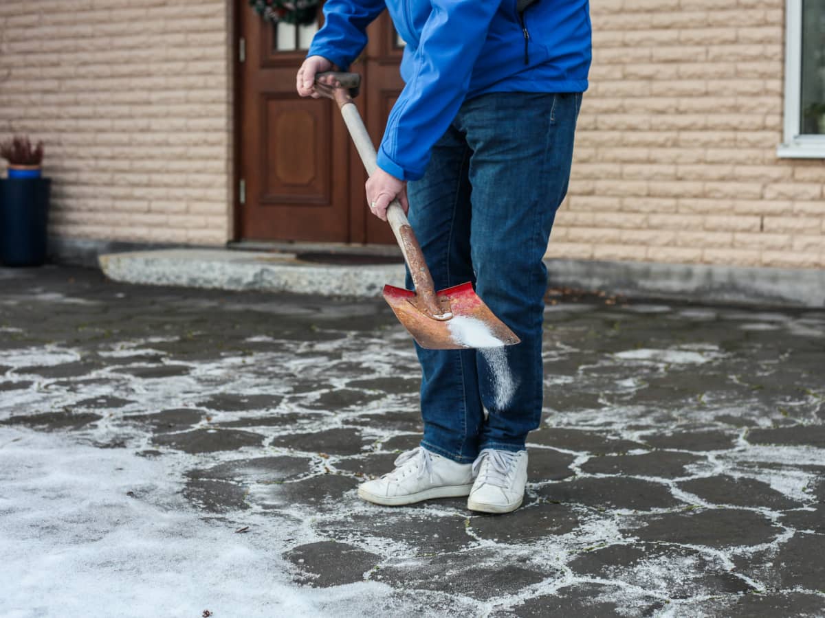 salting-pavement---sussi-hj.jpg