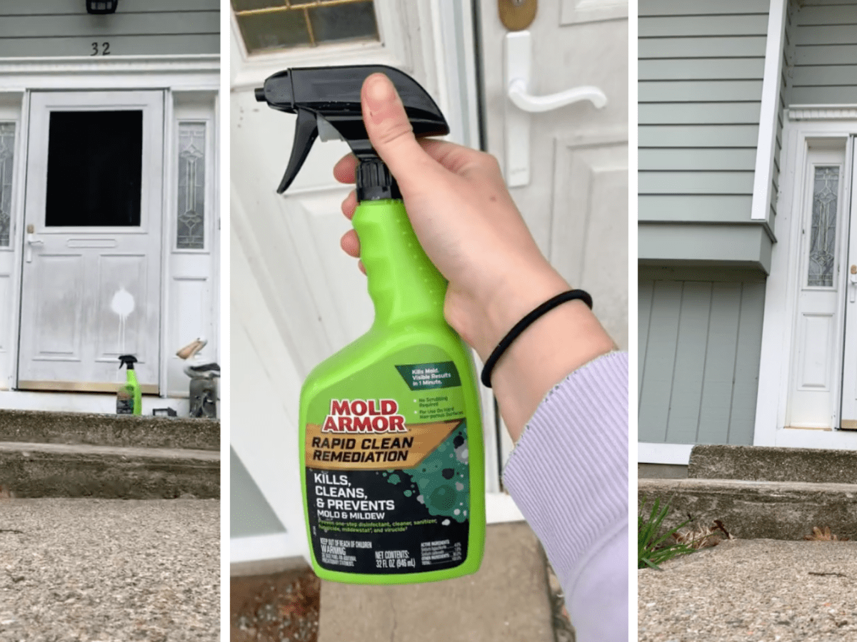 Mold Armor 32 fl oz Mold Remover: Kills, Cleans, and Prevents Mold and  Mildew, One-Step Remediation, Disinfects and Sanitizes in the Mold Removers  department at