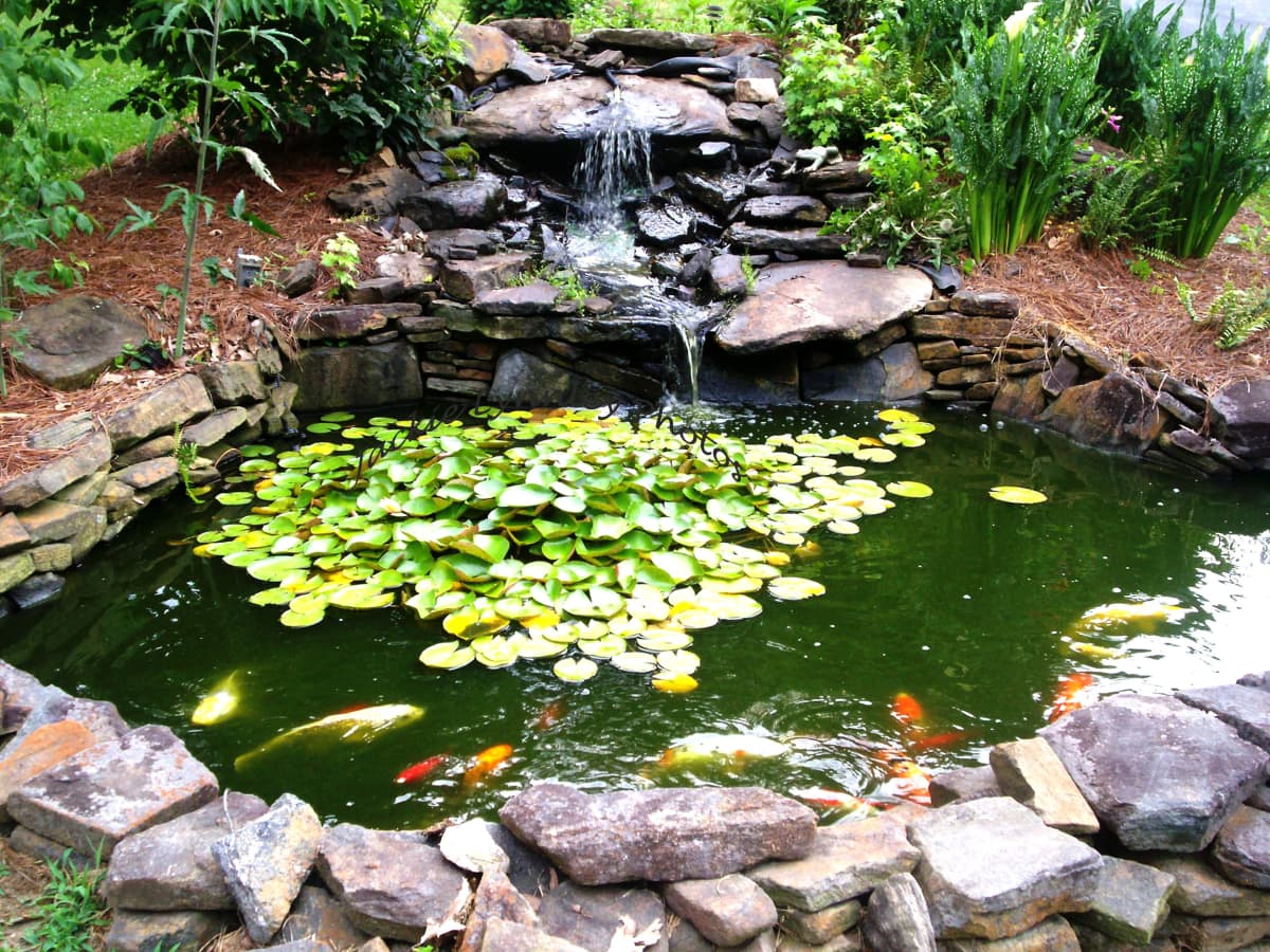 Outdoor fish pond supplies clearance