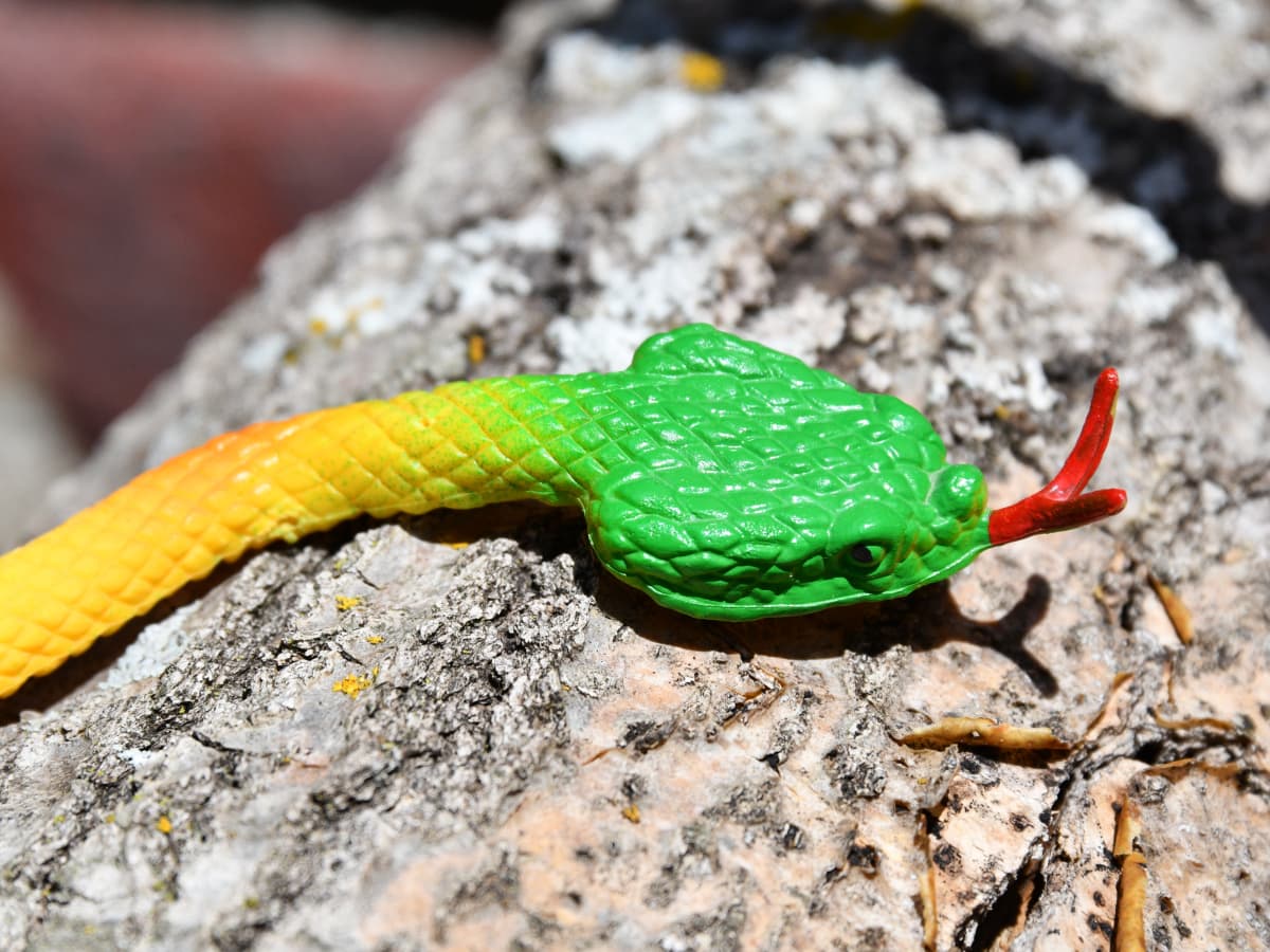 Rubber snakes dollar tree on sale