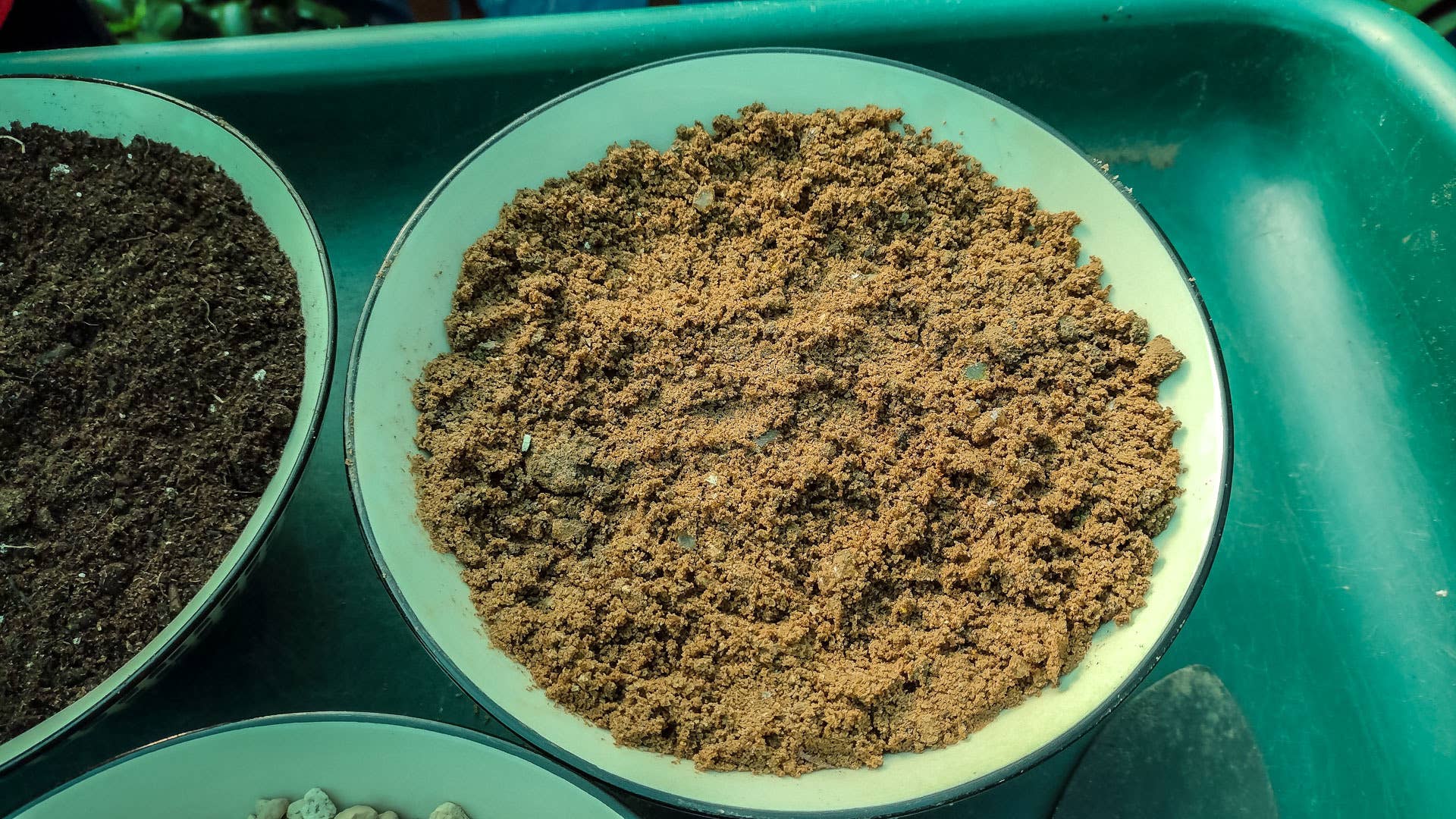 How To Make Cactus And Succulent Soil Mix Dengarden how-to-make-cactus-and-succulent-soil-mix-dengarden