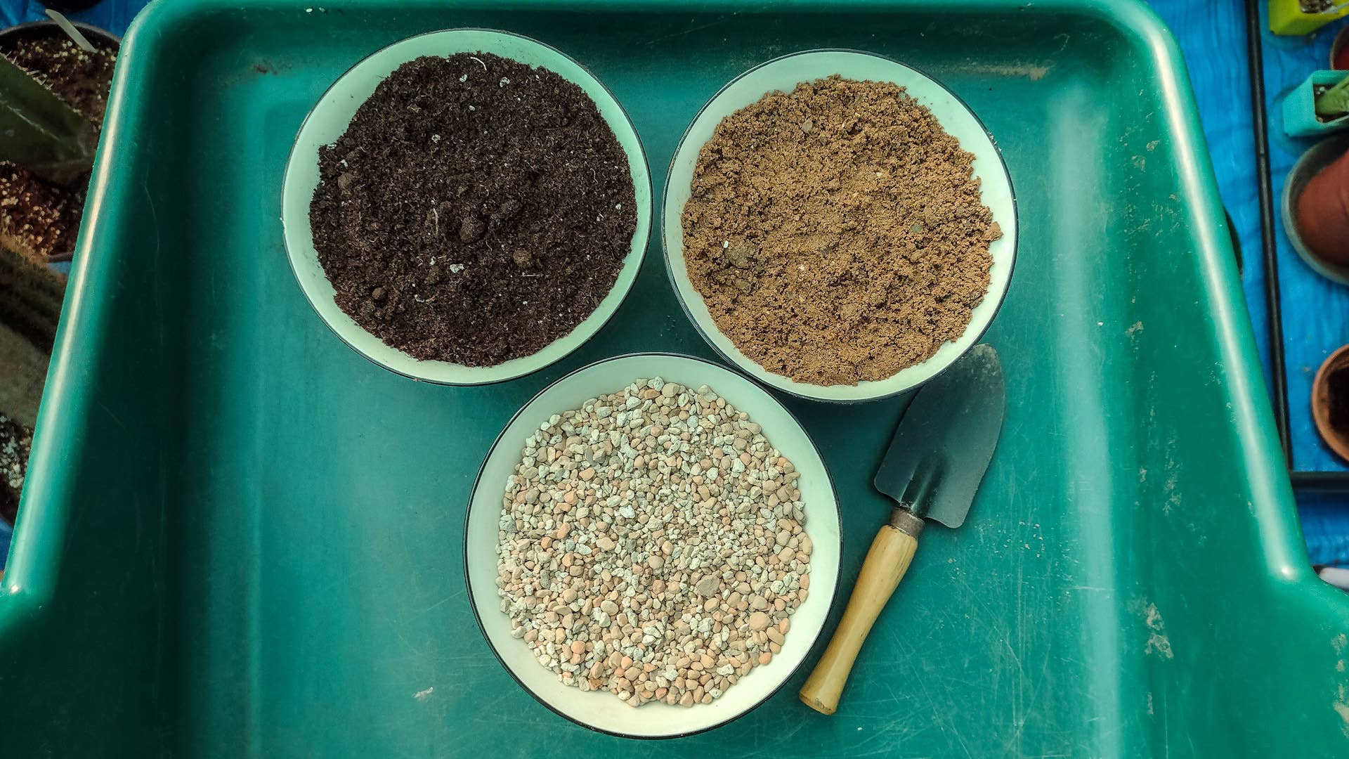 How to Make Cactus and Succulent Soil Mix