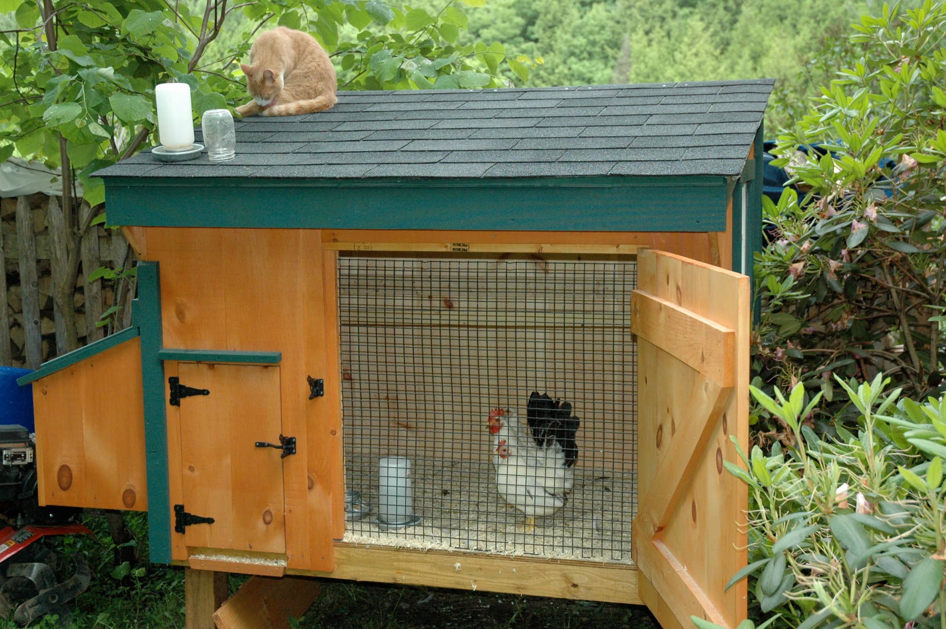 How Do You Make A Simple Chicken House
