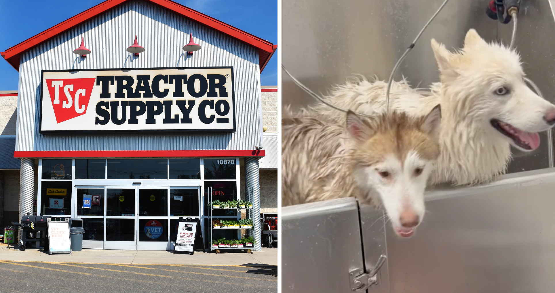 Animal Clinic Tractor Supply Company Vet Clinic Pet Care Tsc Vet