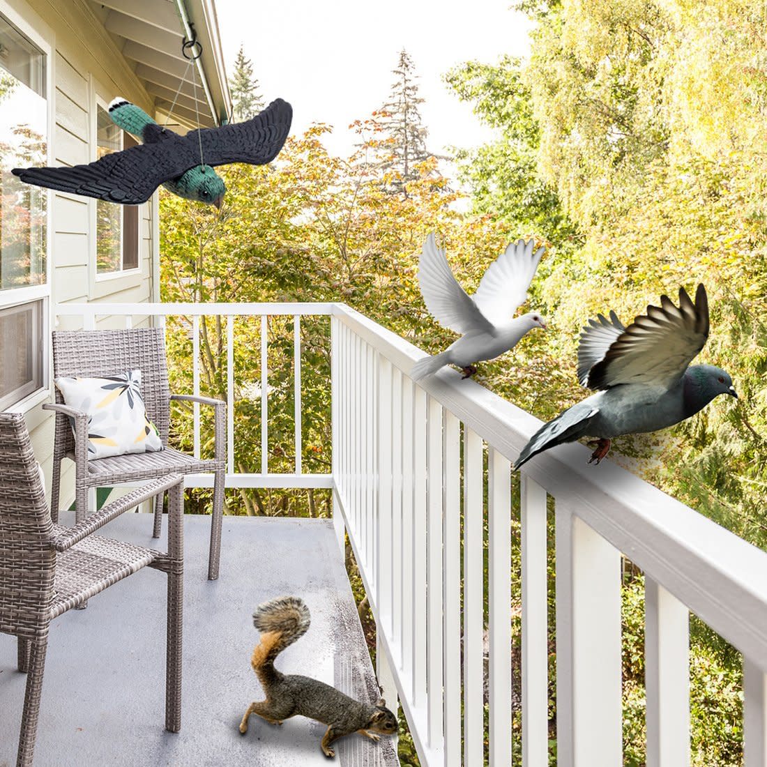 How Can I Keep Birds off My Patio: Effective Tips and Tricks