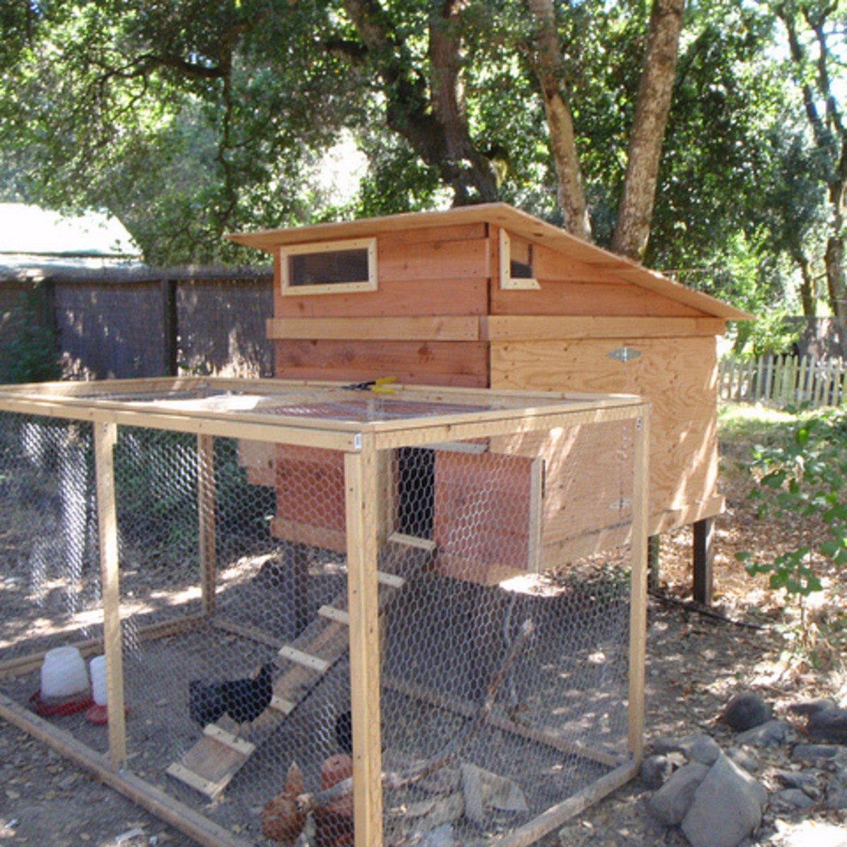 How to Plan a Backyard Chicken House: DIY Coops and Accessories - Dengarden, image size:1200x1200