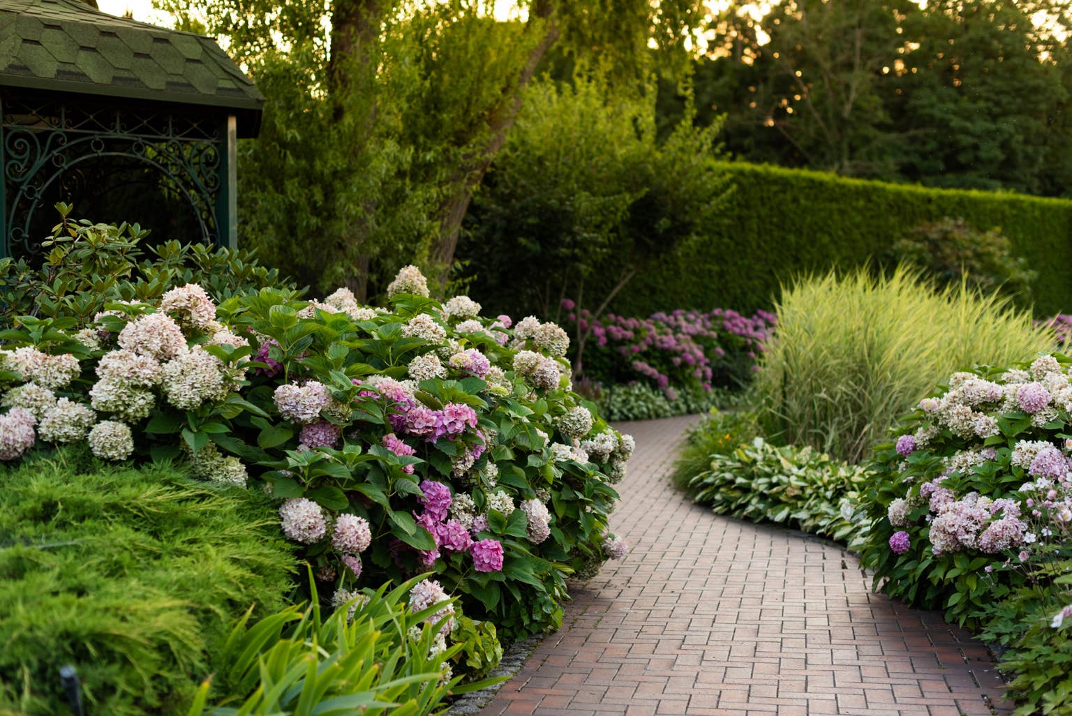 Brilliant 50 Most Beautiful Hydrangeas Landscaping Ideas To Inspire