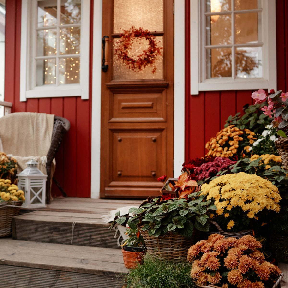 Best Plants for a Florida Porch Pot: Top Vibrant Picks for Sunshine