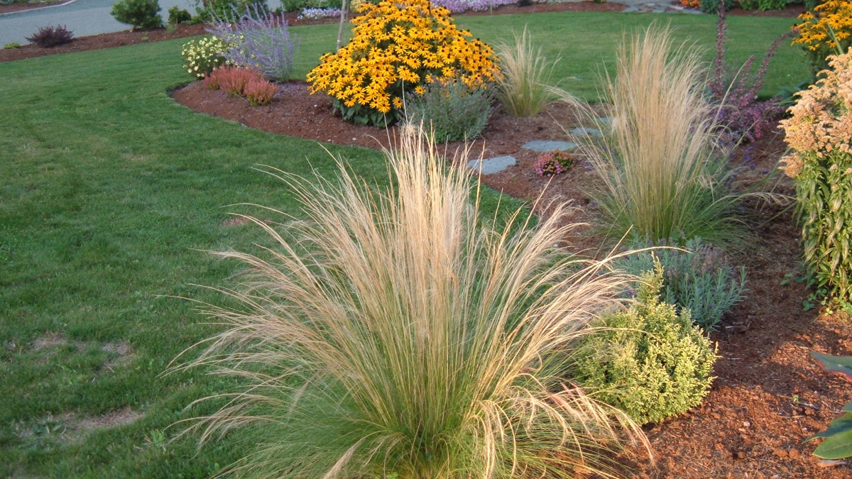 How to Build a Deer-Proof Garden - Dengarden, image size:1200x675