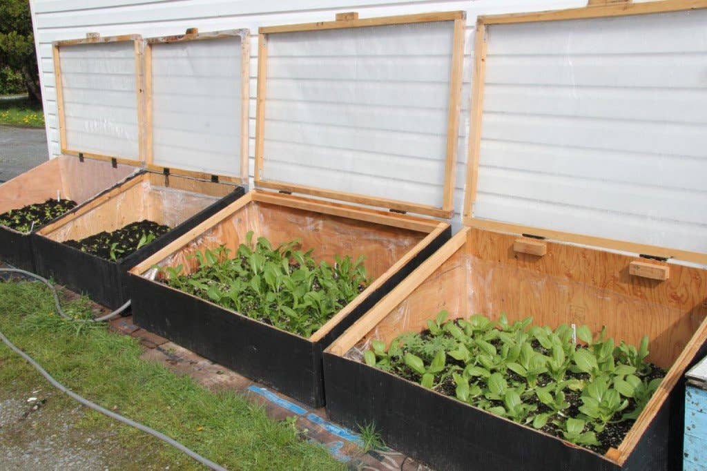 Build Your Own Cold Frame DIY Cold Frame Mike's Backyard Nursery