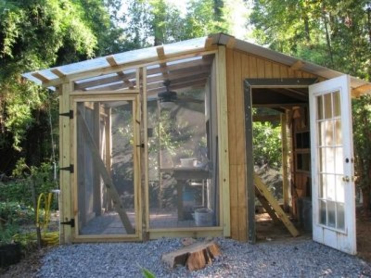 How to Build a Chicken Coop and Greenhouse Combo - Dengarden, image size:1200x900