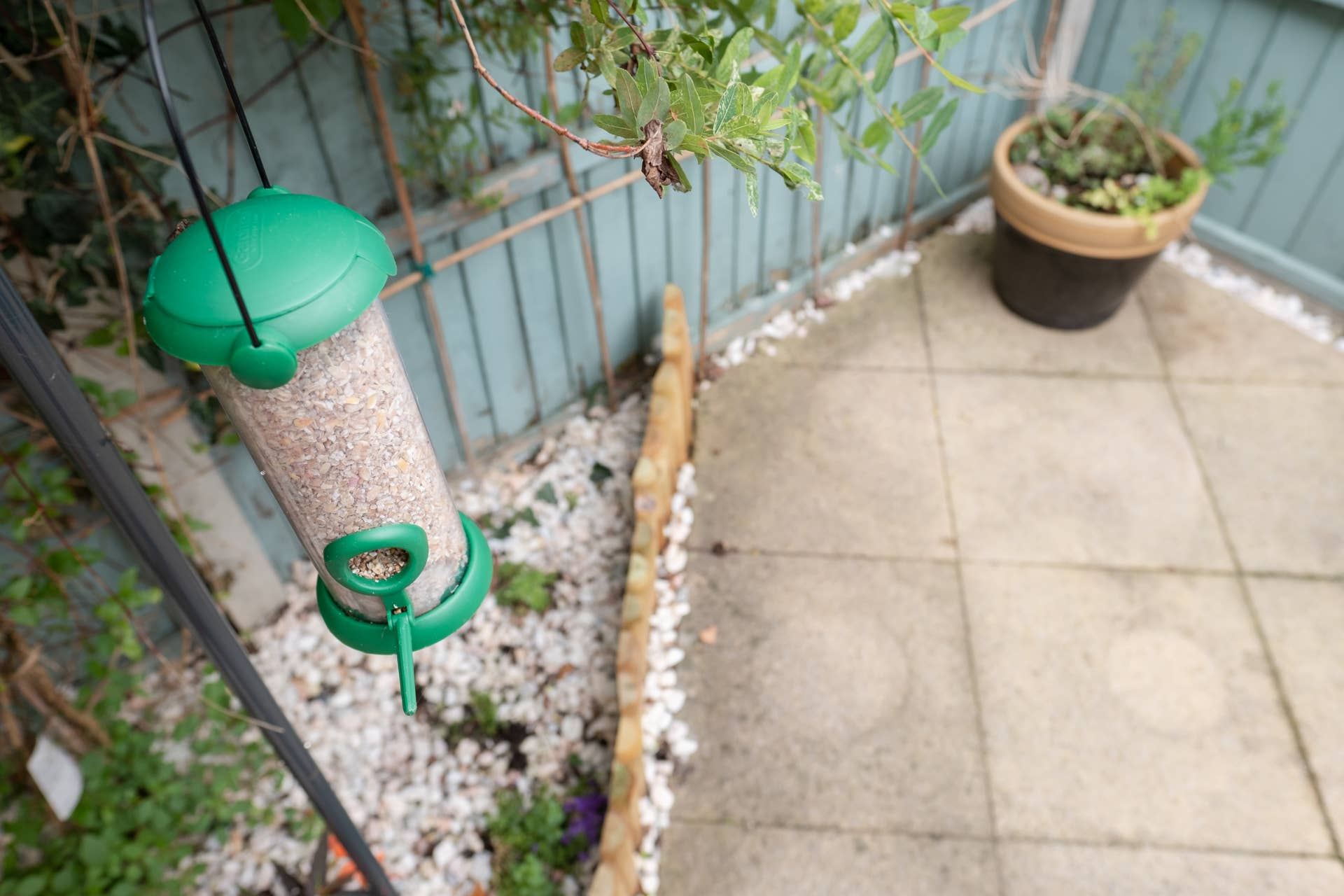 How to Hang a Bird Feeder Without a Tree: Easy Creative Ideas