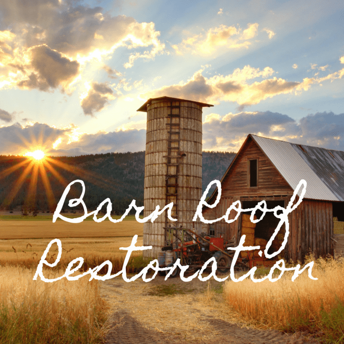 How to Fix a Sagging Barn Roof: Illustrated Guide - Dengarden