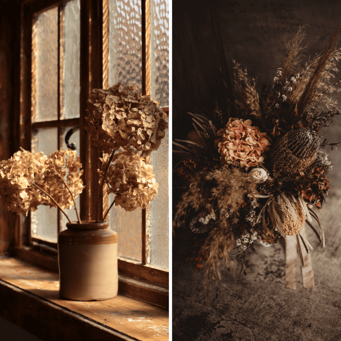 How to Dry and Preserve Hydrangea Blooms Naturally Dengarden