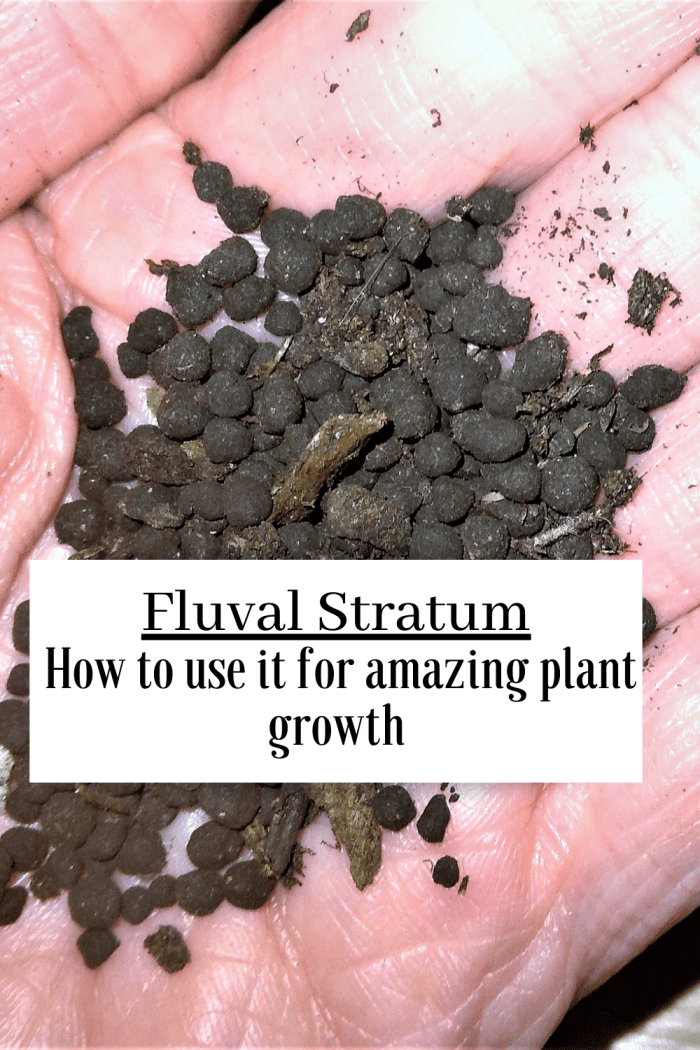 What Is Fluval Stratum & How Can It Be Used for Houseplants? Dengarden